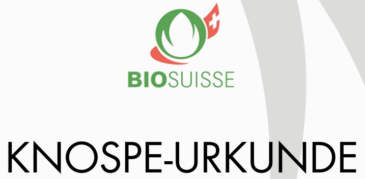 Knospe Logo